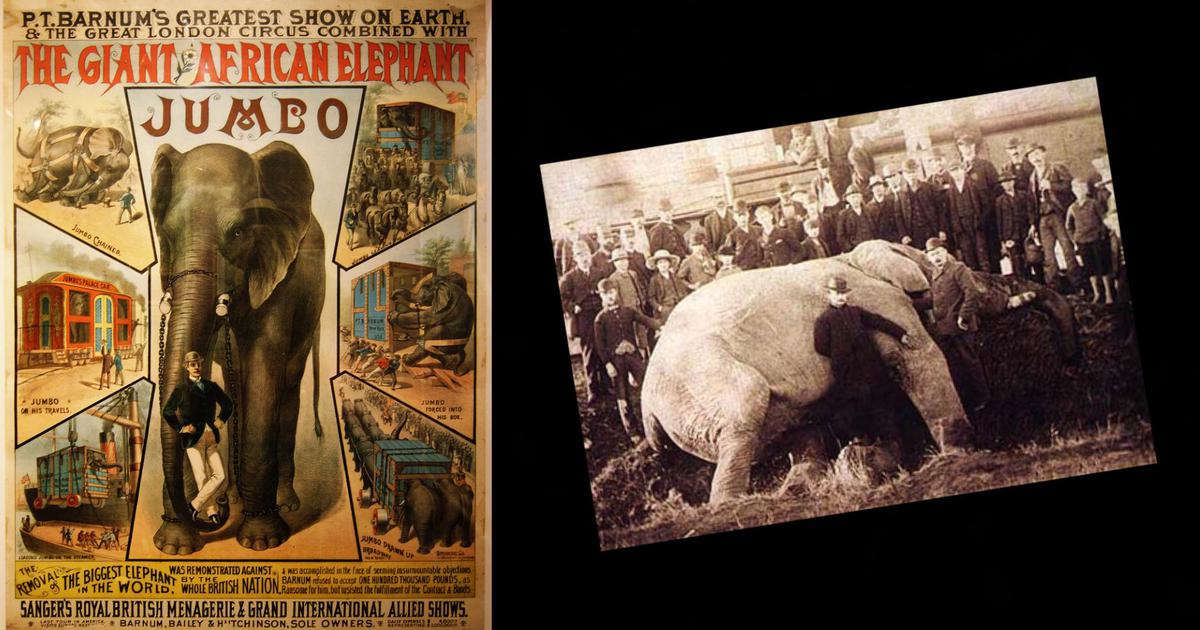 ‘Epic Elephants’ How the African elephant Jumbo lived and died as part of PT Barnum’s circus