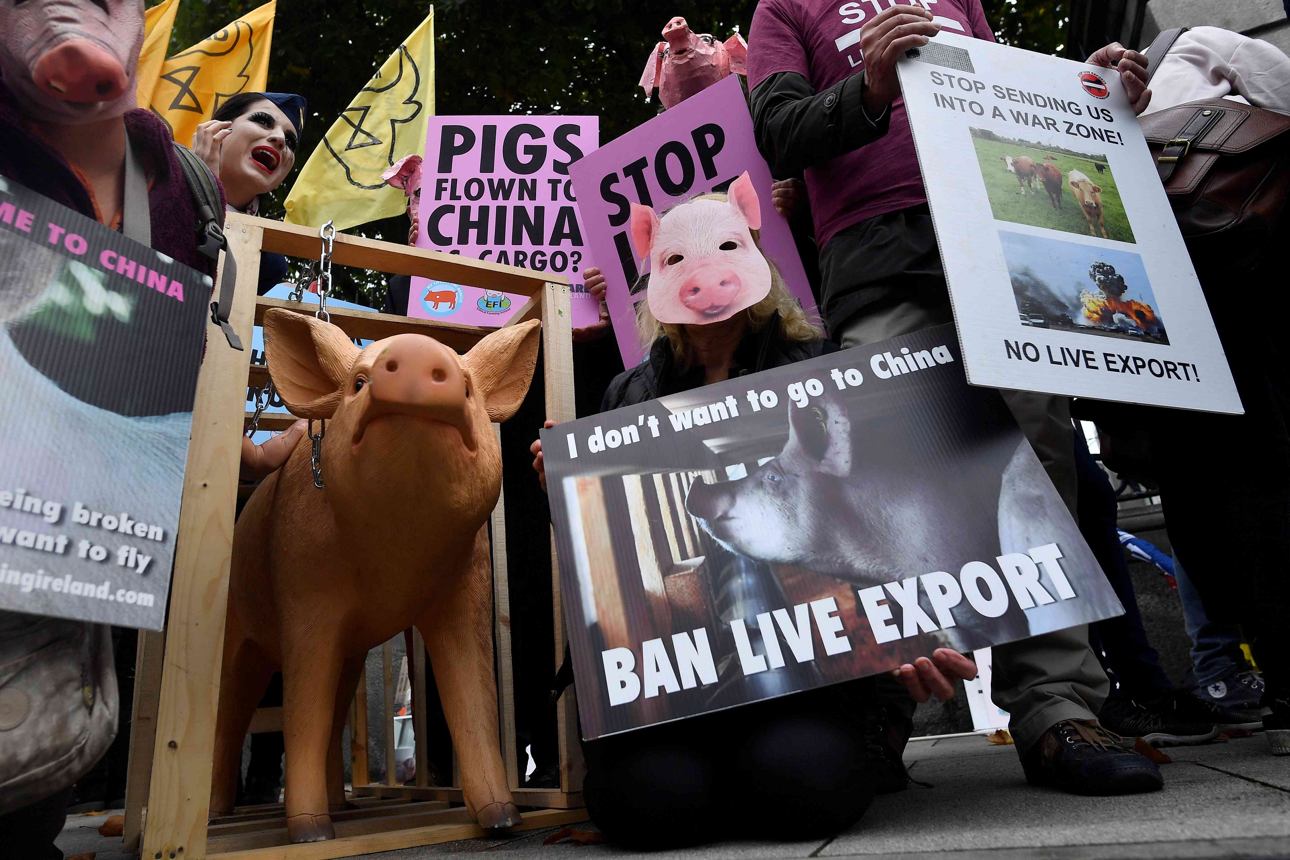 Livestock export bill It has been withdrawn for now disregard for live