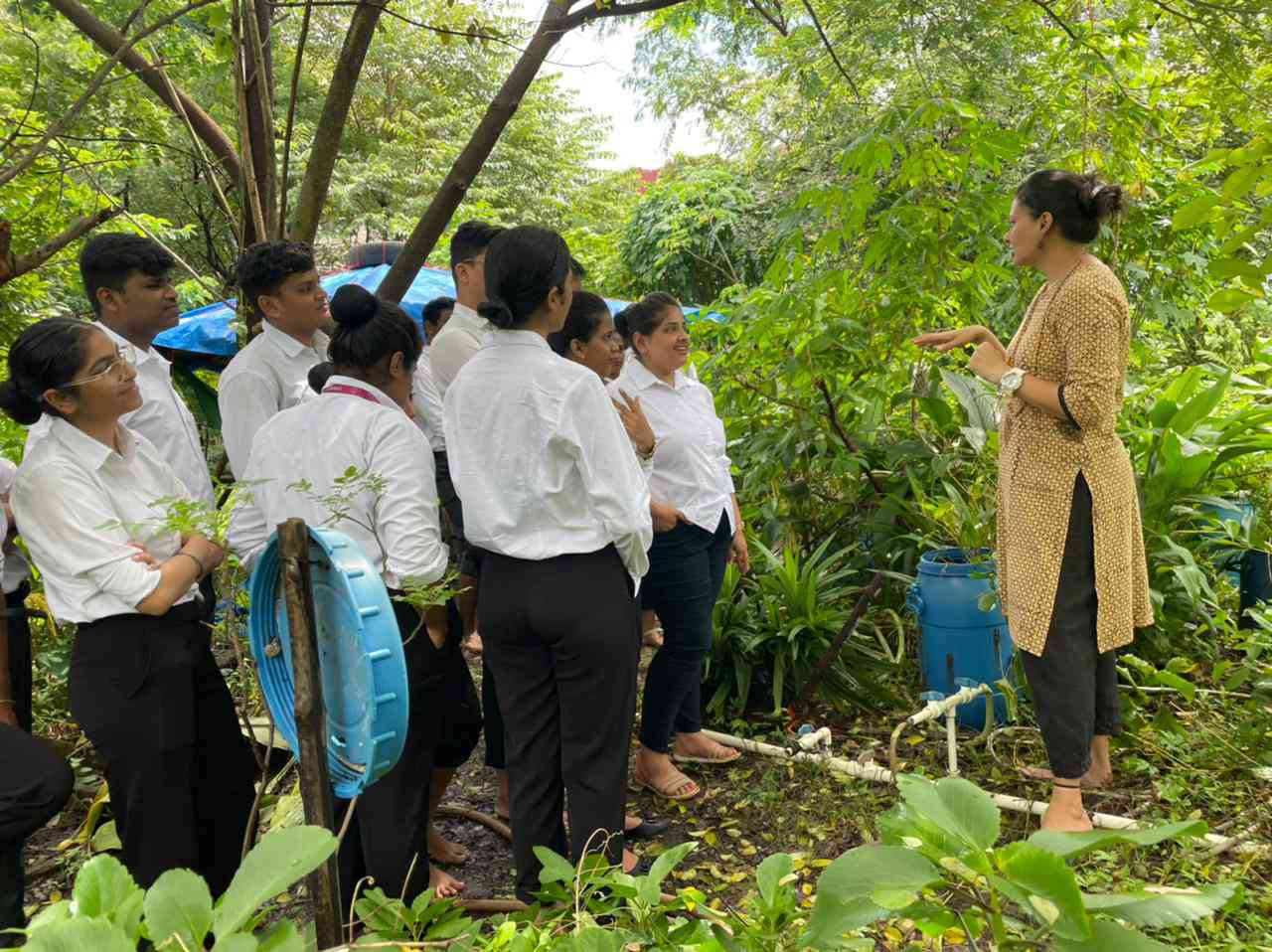 How rooftop gardens can on India’s traditional food system