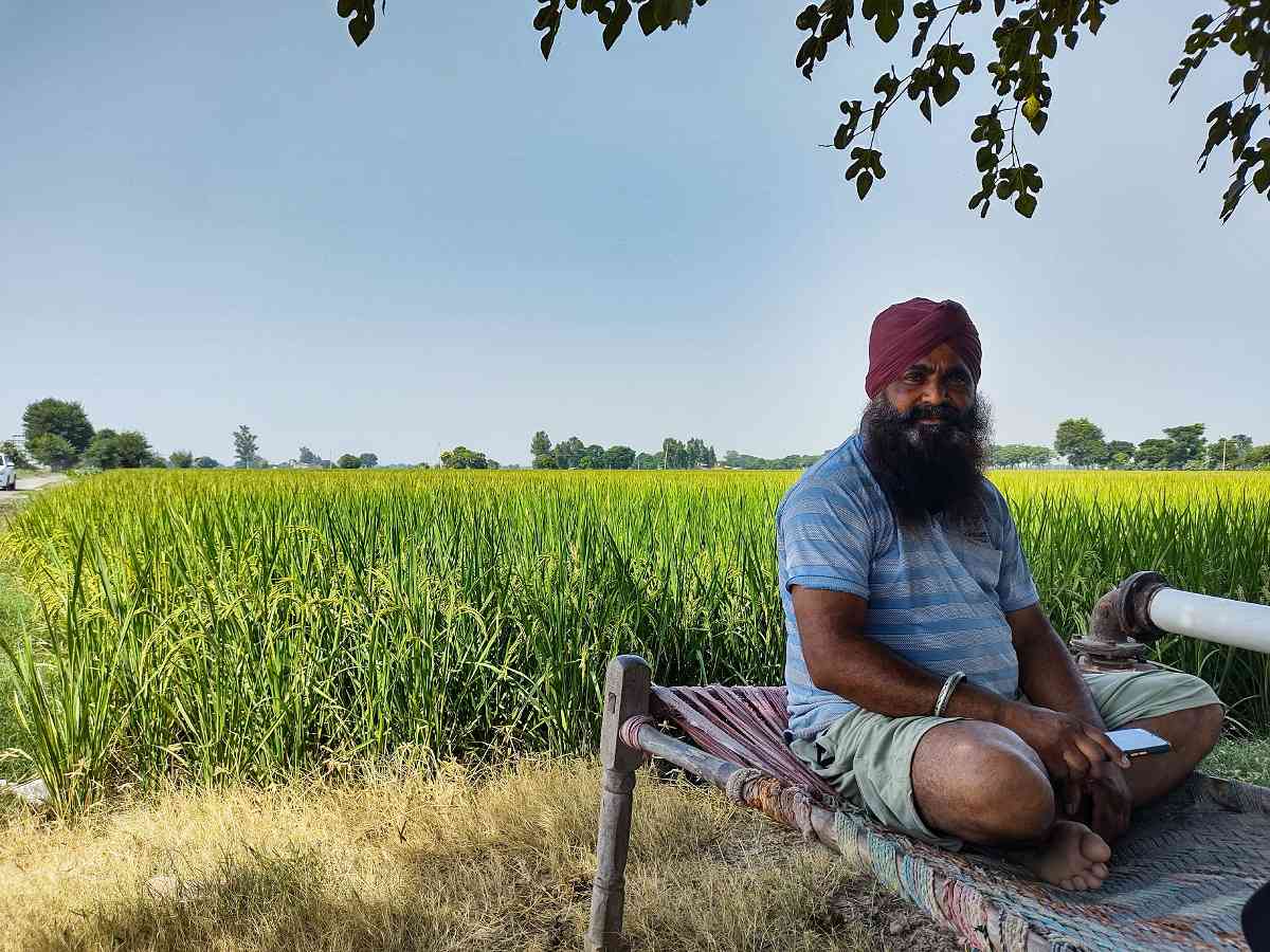 Stubble burning why Punjab’s farmers have rejected solutions to the