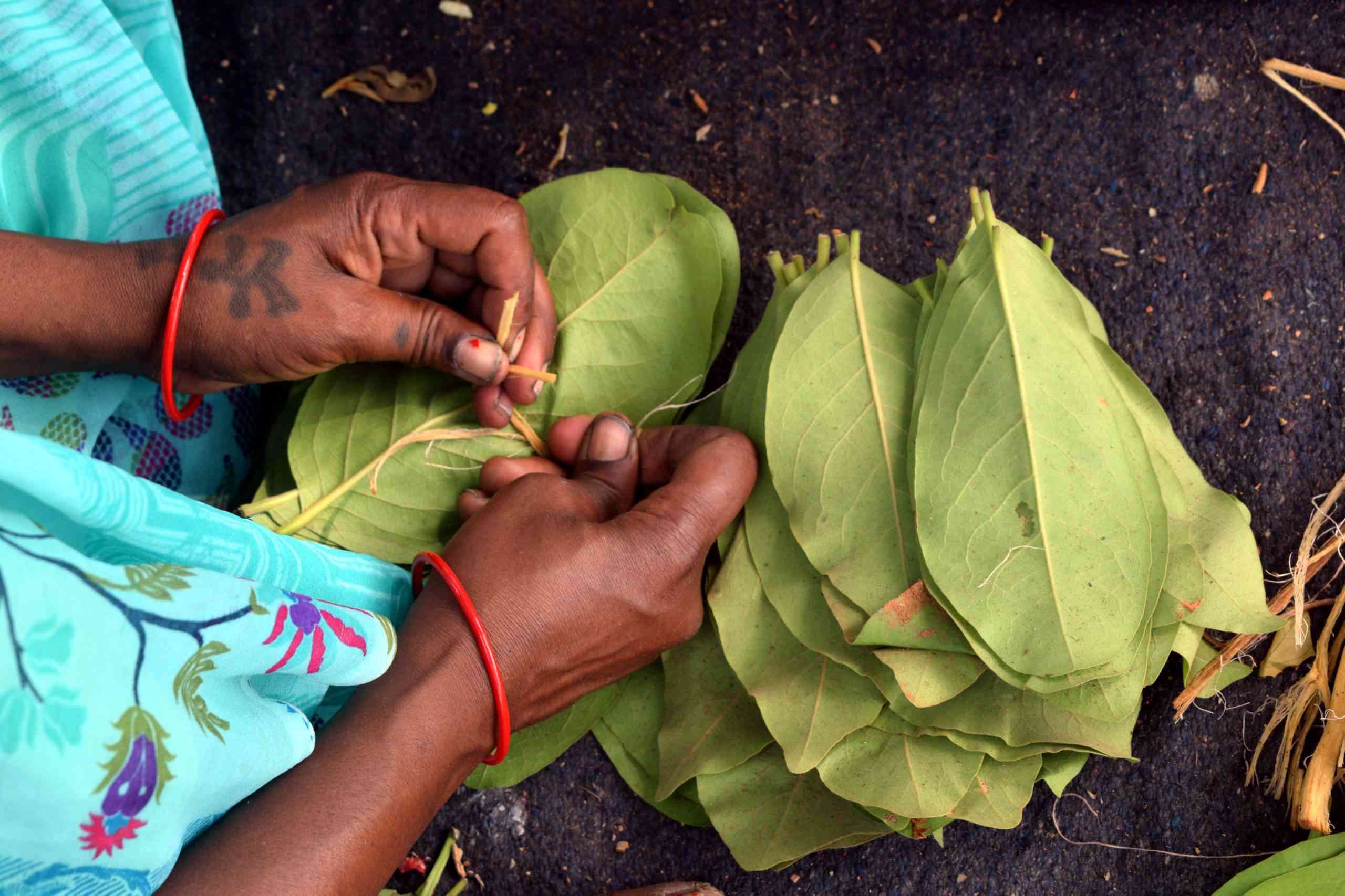 In Chhattisgarh, Adivasis are selling tendu leaves in the open market