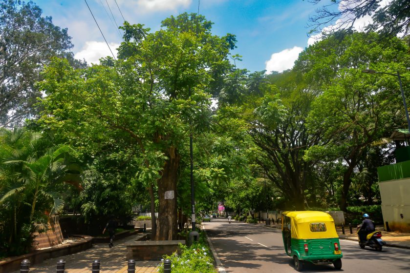 Bangalore is both a Garden City and a treeless dystopia at the same time