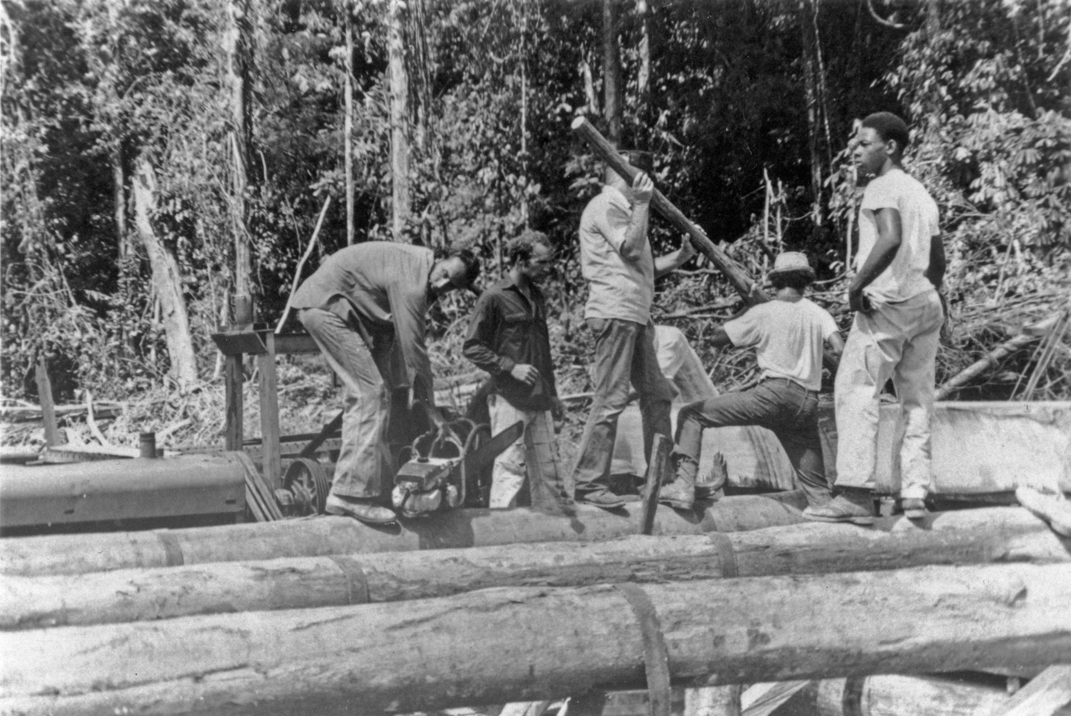 Jonestown beyond the massacre The Peoples Temple was a commune built