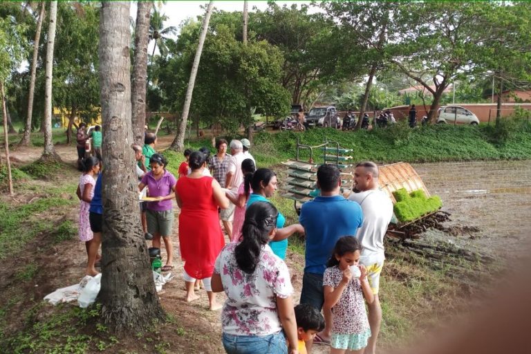 In Goa, community farming is being used to stave off the march of real