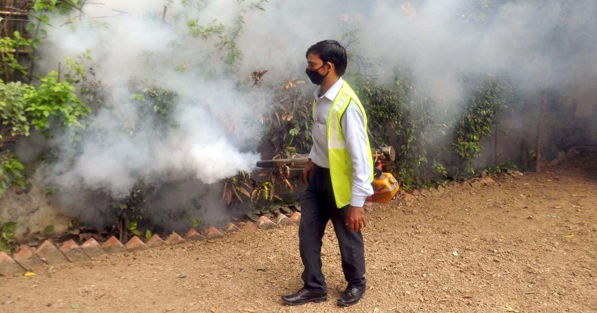 Lab notes Dengue transmission occurs in and around homes