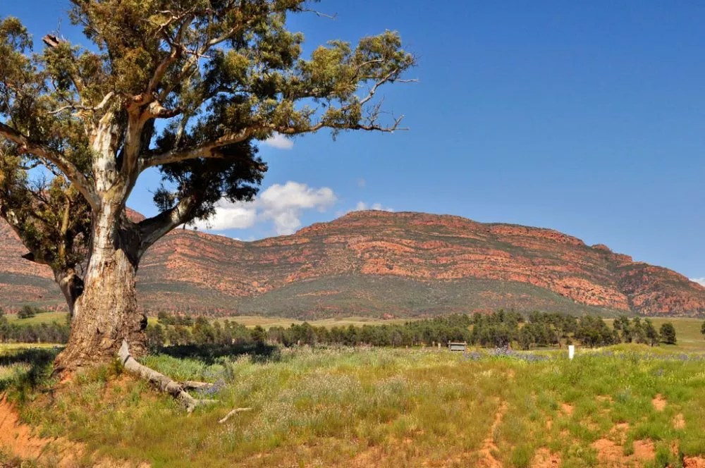 Photo Portfolio Flinders Ranges Australian Traveller