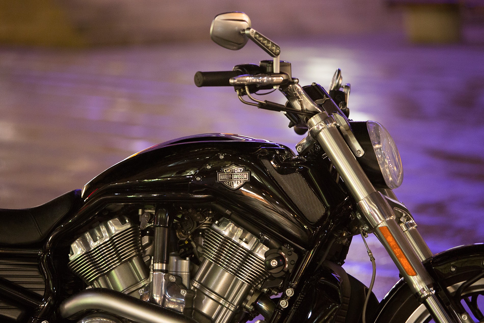 HARLEY DAVIDSON VROD MUSCLE specs 2017, 2018, 2019, 2020, 2021 autoevolution
