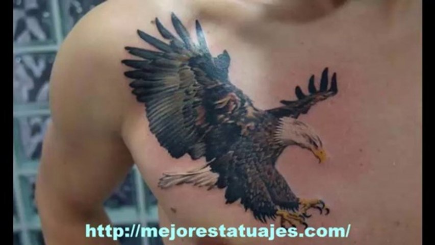 Tatuajes De Aguilas En El Pecho - Vídeo Dailymotion 480_x_853_jpg