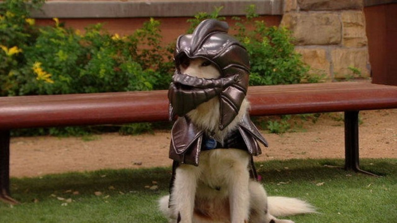 Dog With a Blog Season 1 Episode 15 Avery's First Crush