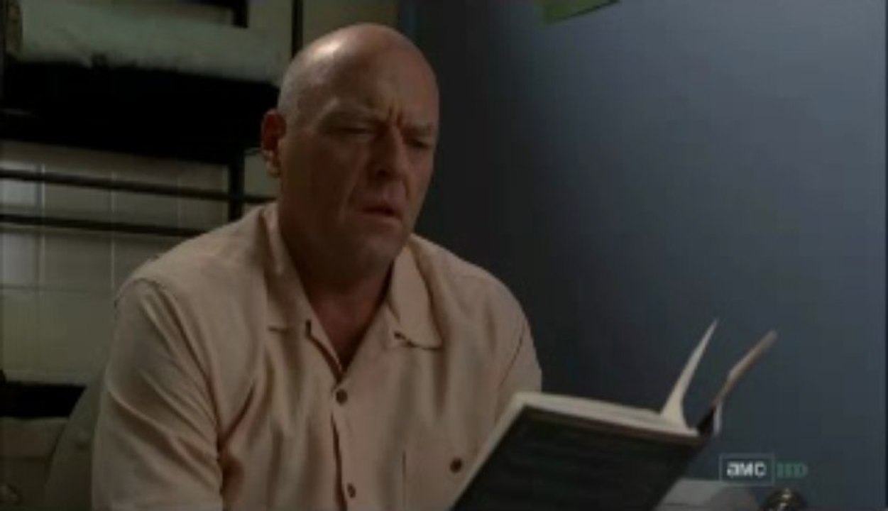 Breaking Bad Season 5 Episode 8 video Dailymotion