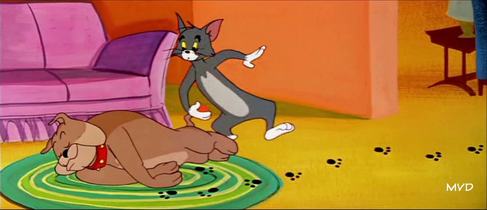 Tom and Jerry Tom's Photo Finish Video Dailymotion