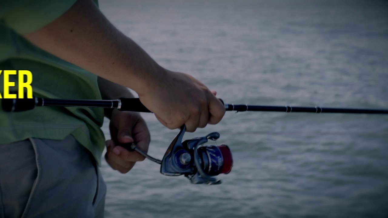 Cabelas Salt Striker Spinning Reel video Dailymotion