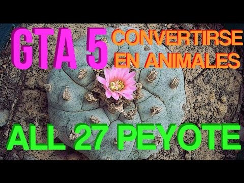 GTA 5 Coleccionables Localización 27 Plantas de Peyote