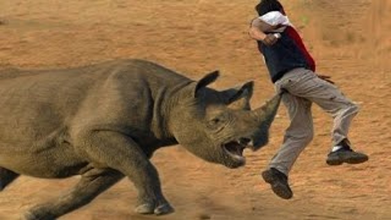 Most Shocking Animal Attacks On Human Crazy Animal Attack People