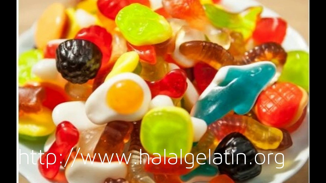 What is kosher gelatin and is it halal or Haram video Dailymotion