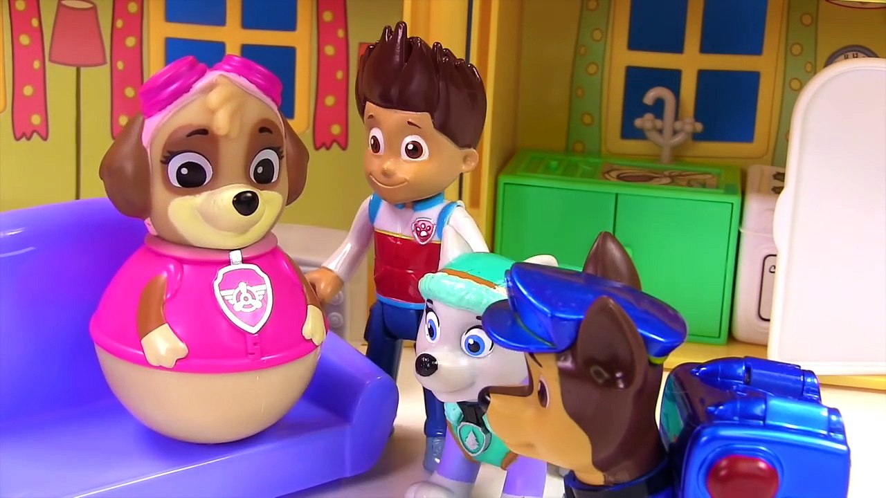 Paw Patrol Skye is Pregnant, Needs a Doctor and Has Lots of Puppies
