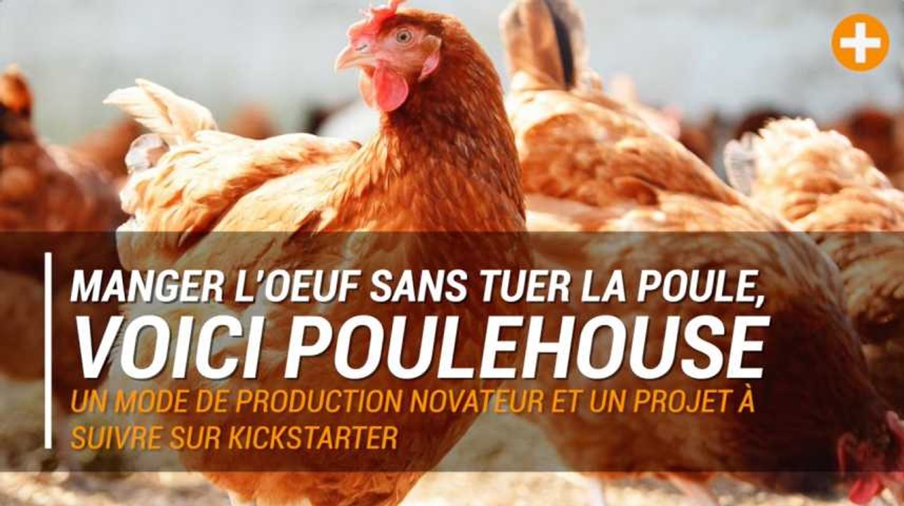 Pour manger l’oeuf sans tuer la poule, voici Poulehouse Vidéo Dailymotion