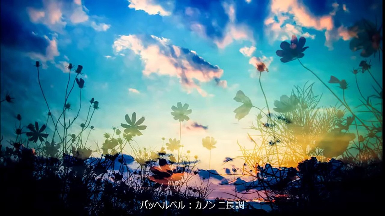 パッヘルベル：カノン ニ長調 （作業用） video Dailymotion