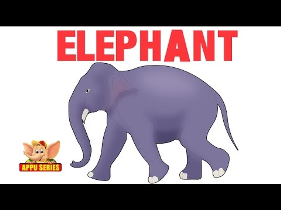 Animal Sounds Elephant video Dailymotion