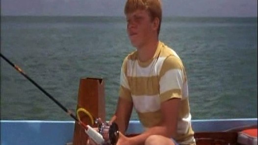 Flipper 1964 S03e14 Flipper And The Fugitive Part 1 video dailymotion