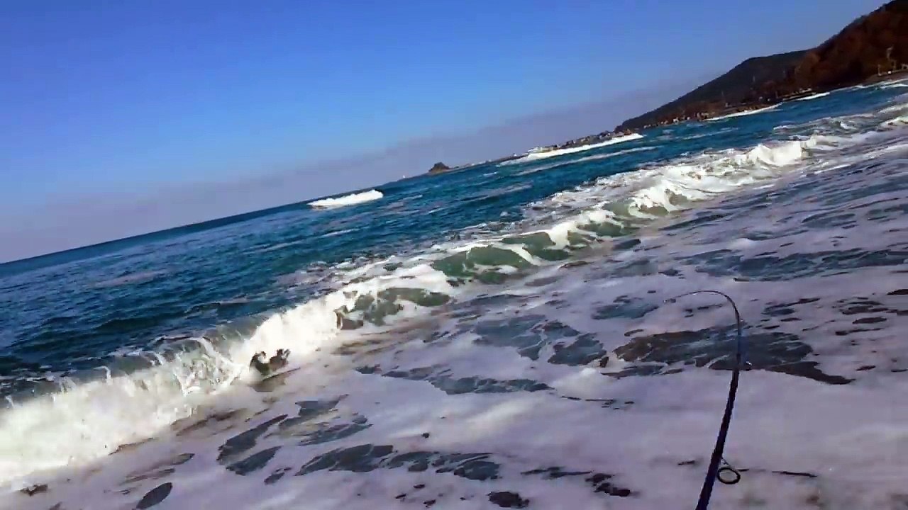 （海釣り）サーフでサワラ釣り IN 山形県鼠ヶ関～新潟県村上ghY_sVHbxA video Dailymotion