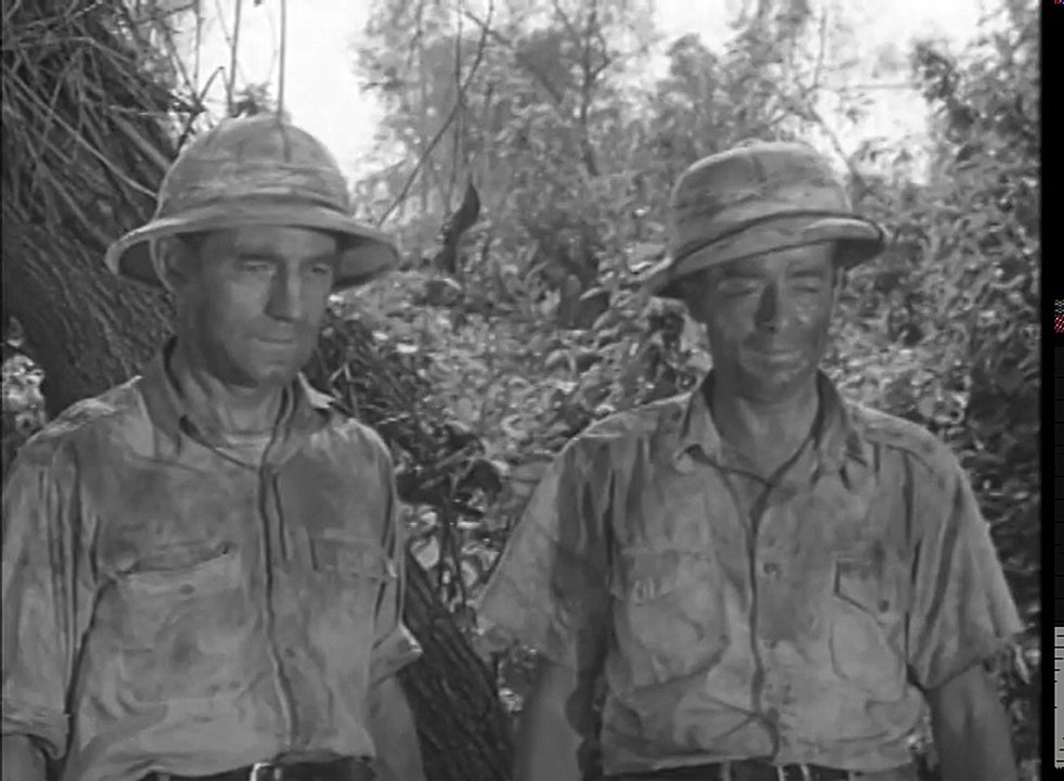 Dangerous Assignment THE PAT AND MIKE STORY video Dailymotion