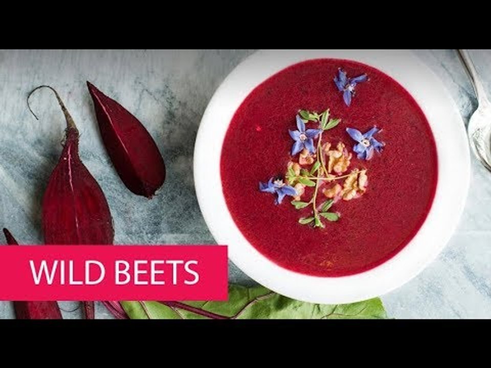 WILD BEETS SPAIN, video Dailymotion
