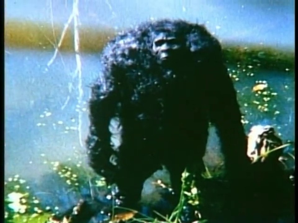 The Abominable Snowman In Search of History Documentary video