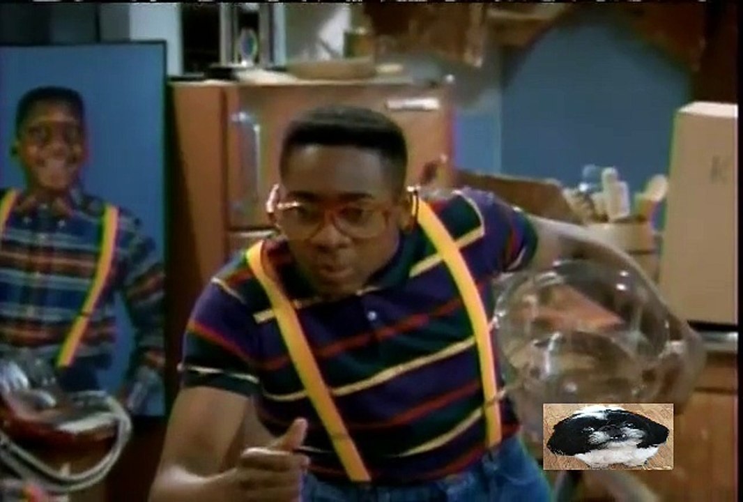 Family Matters S6 E25 Home Sweet Home video Dailymotion
