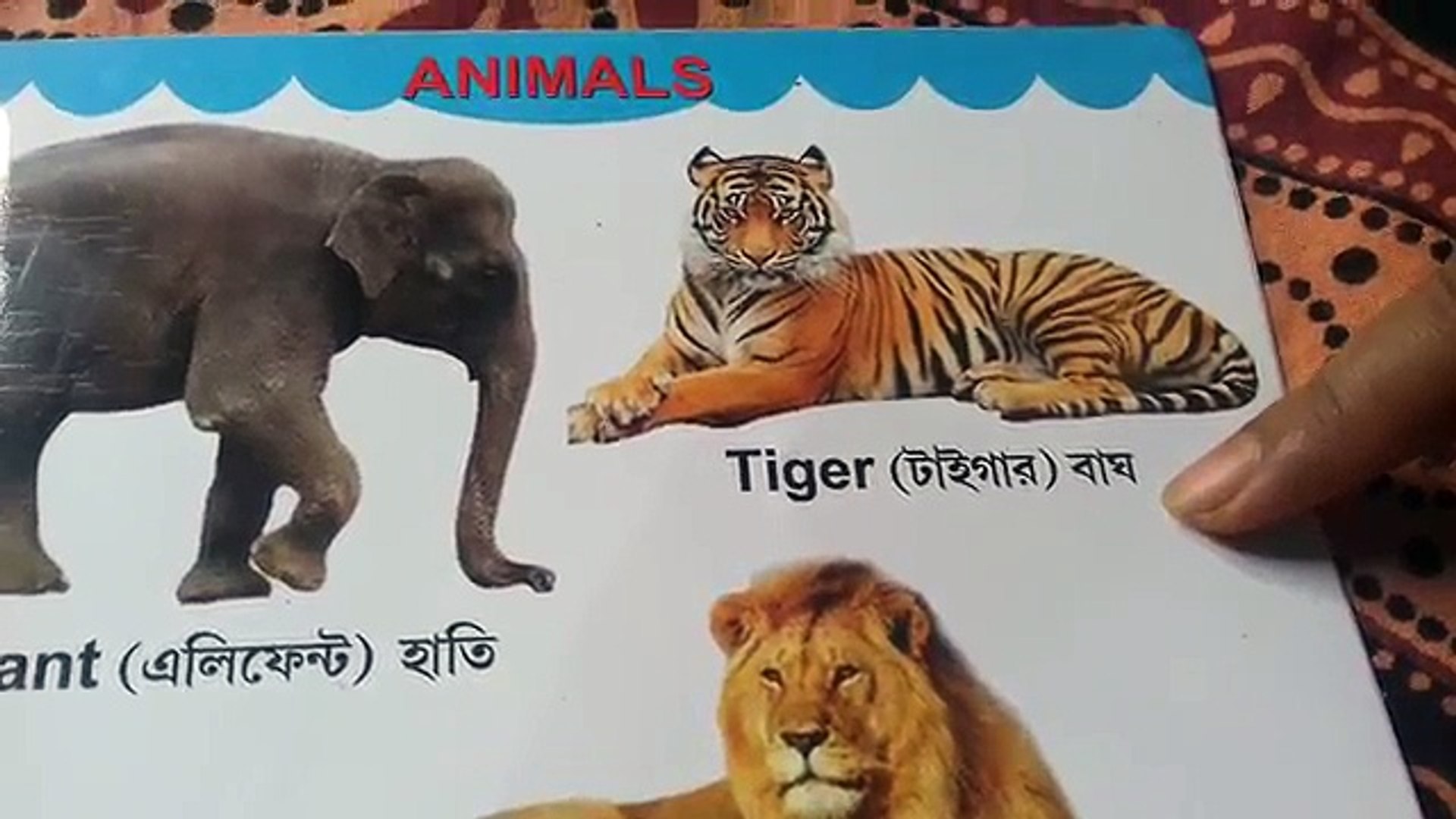 Top 126 + Animals name in bengali