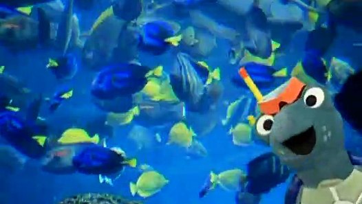 Baby Einstein Baby Neptune video dailymotion