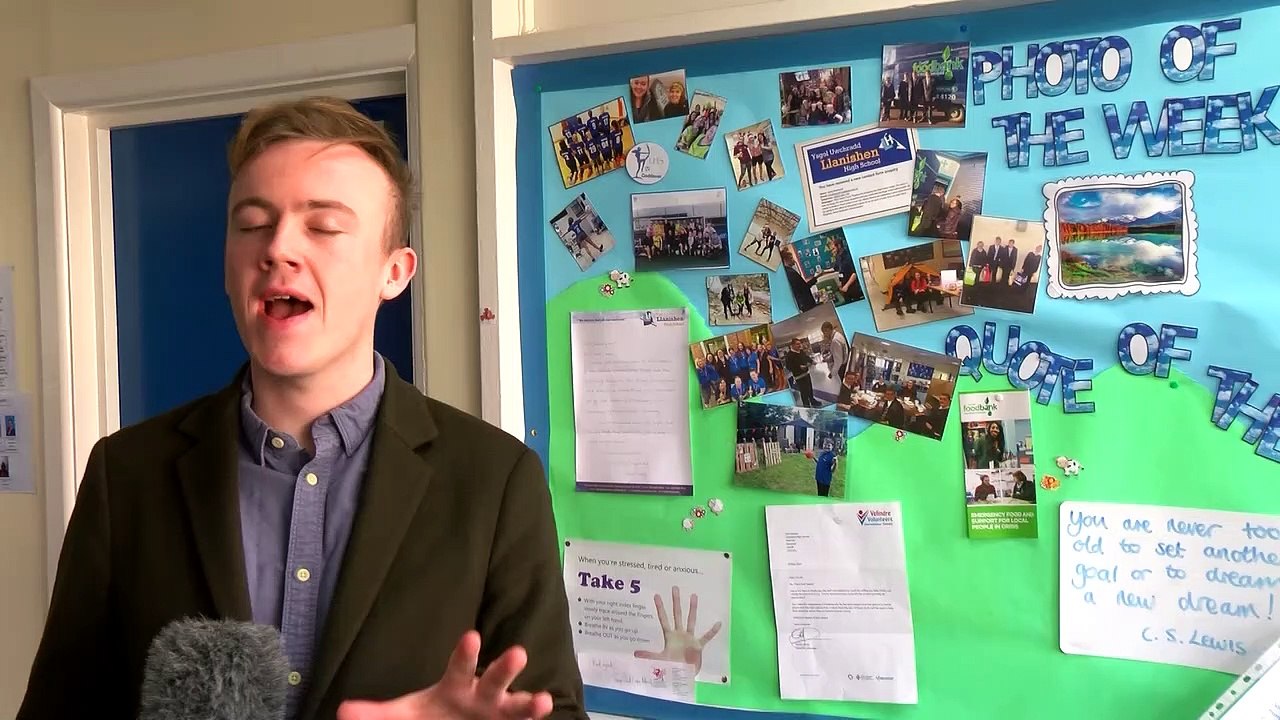 Daisy The Therapy Dog! video Dailymotion