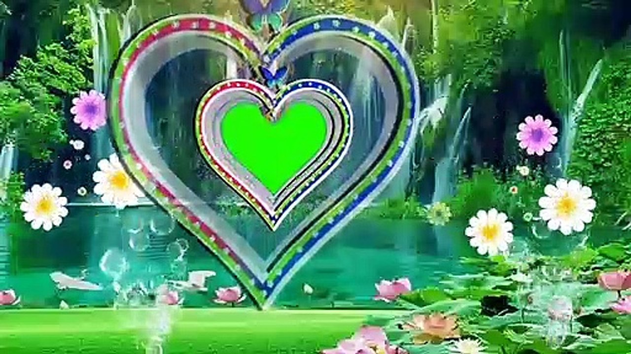 Wedding Green background screen effect HD video video Dailymotion