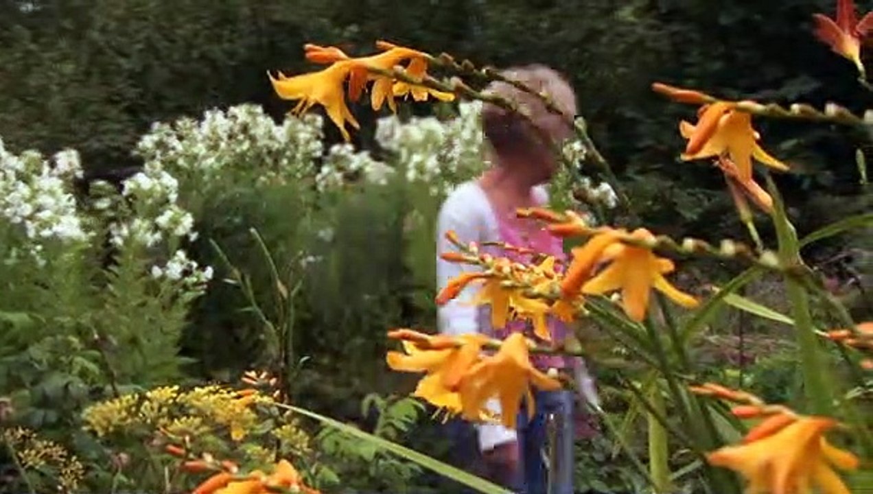 Gardeners World episode 23 2012 video Dailymotion