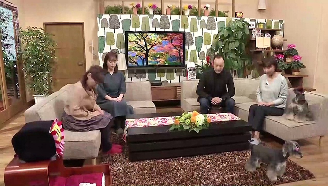 「珍 女性のような男性」不祥事 ちぐまや家族 謝罪後 tysテレビ山口 動画 Dailymotion