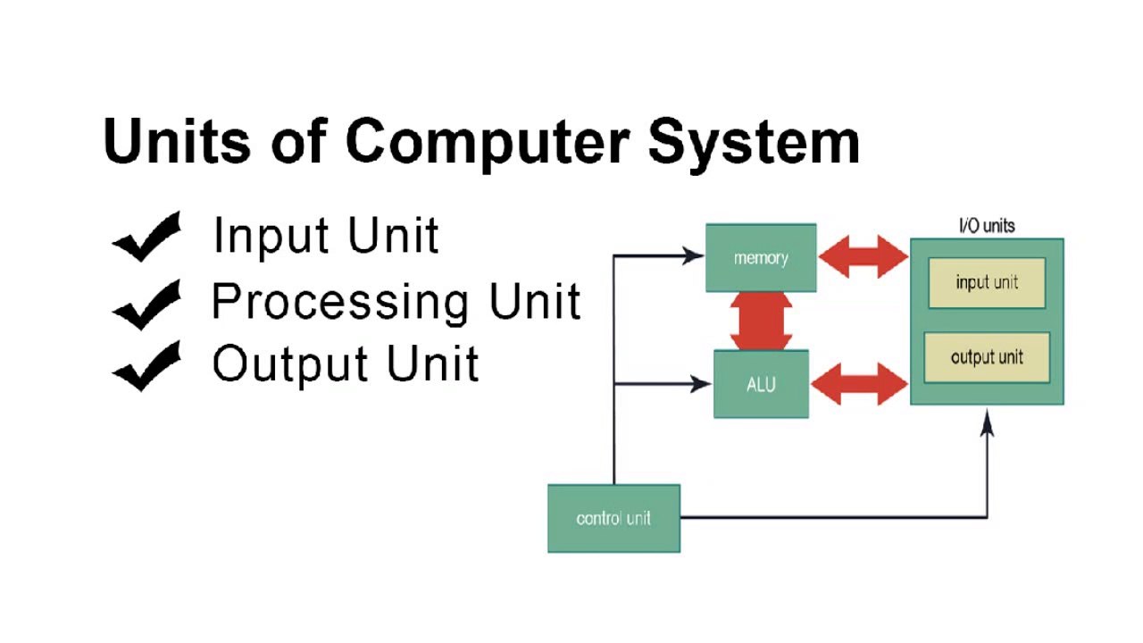 Parts // units // components // elements of computer system with its