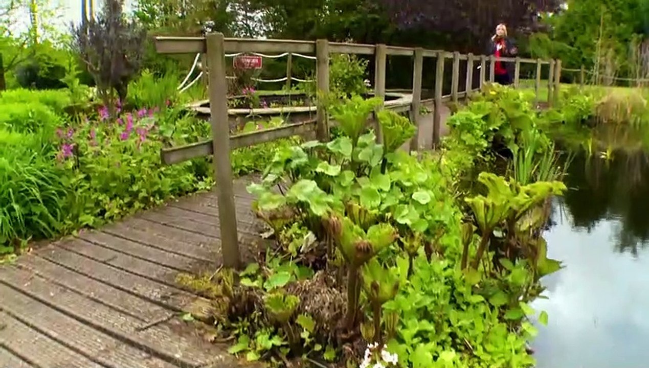 The Instant Gardener episode 6 video Dailymotion