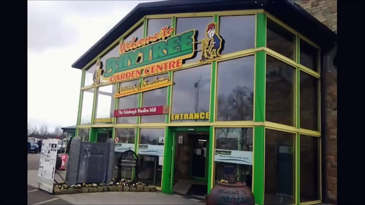 Owls at Baytree Garden Centre near Spalding, Lincolnshire video