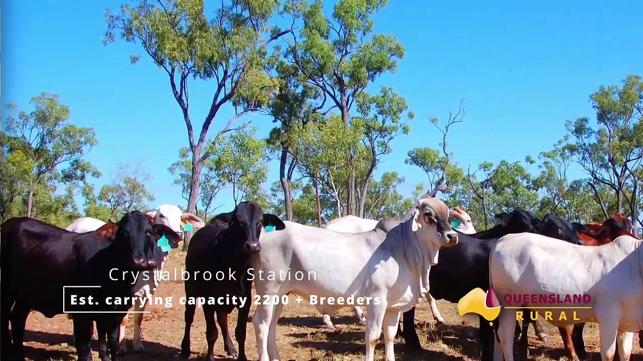 Crystalbrook and Silkwood stations June 2022 Queensland Country