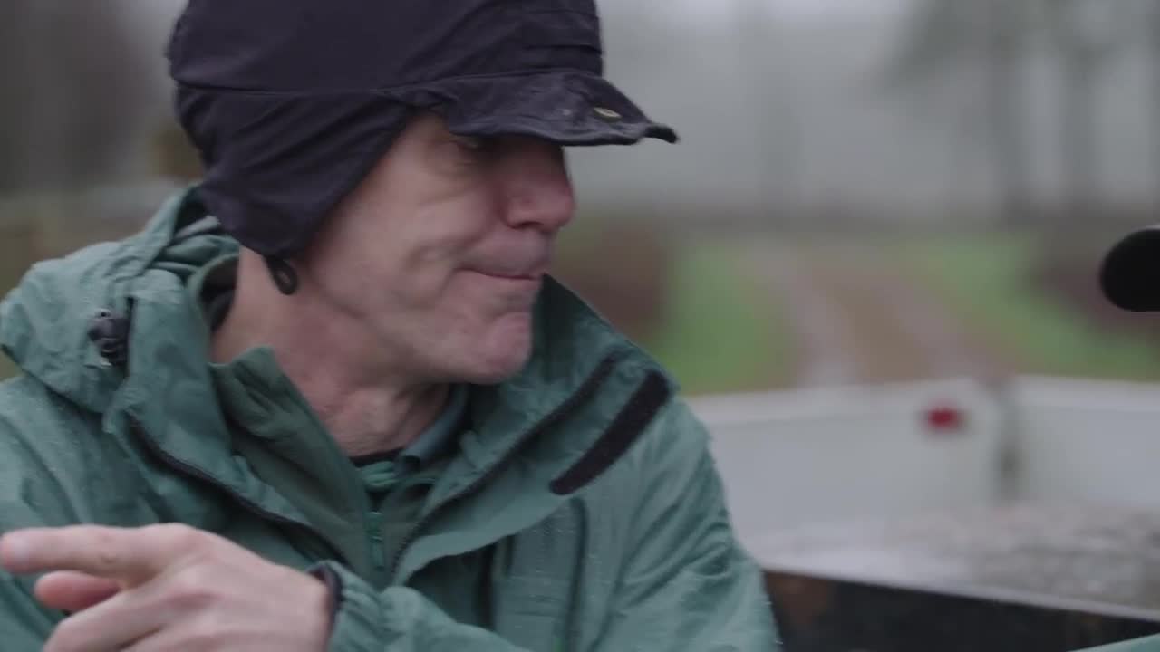 Forestry Commission Christmas trees