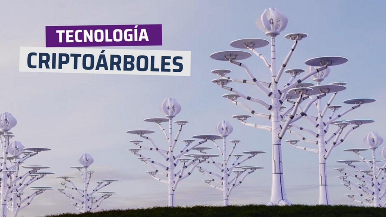 [CH] Criptoárboles solares, la solución limpia para las