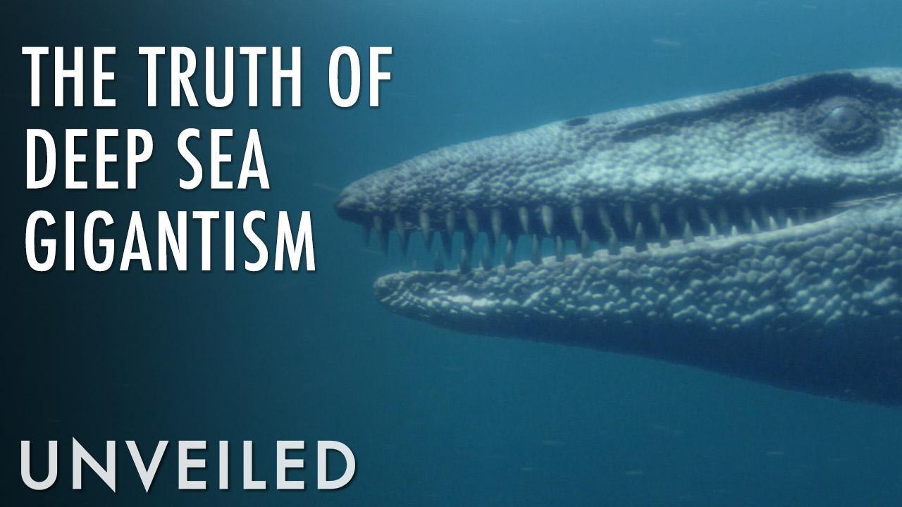 Are There Undiscovered Giants at the Bottom Of The Ocean? Unveiled