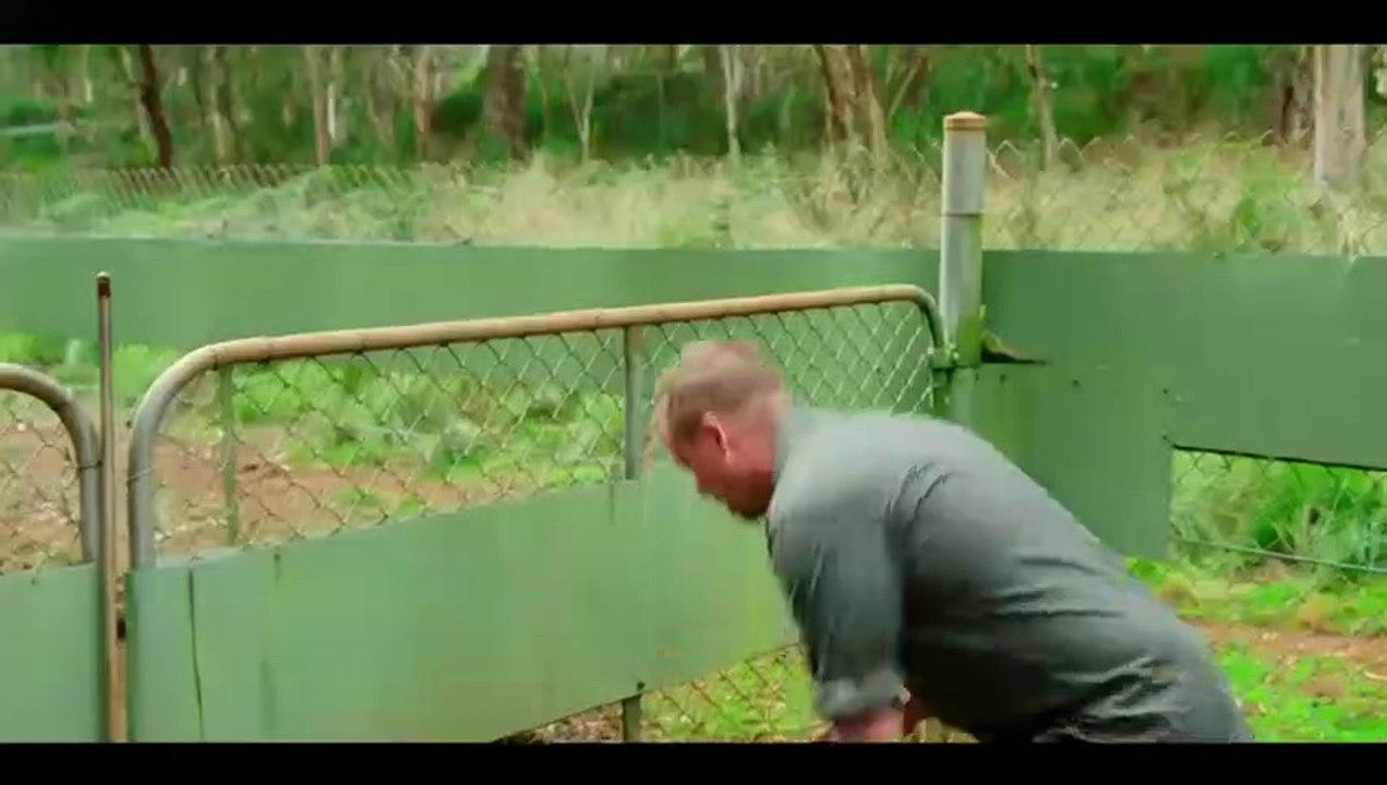 Gogglebox UK Season 20 Episode 12 Dailymotion Video