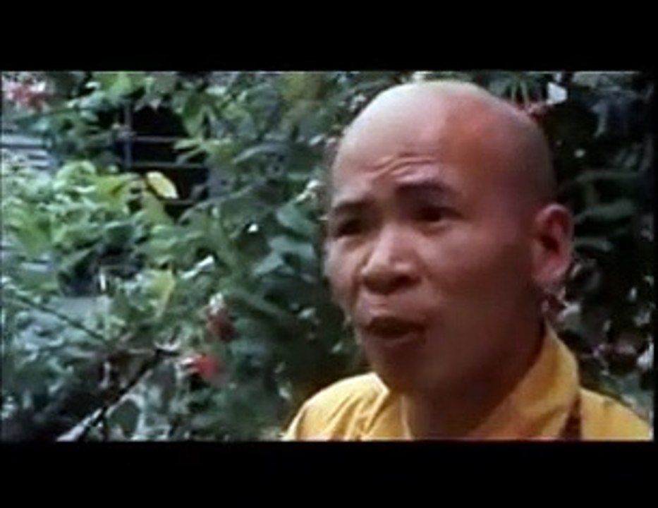 Hearts and Minds movie 1975 Official Trailer video Dailymotion
