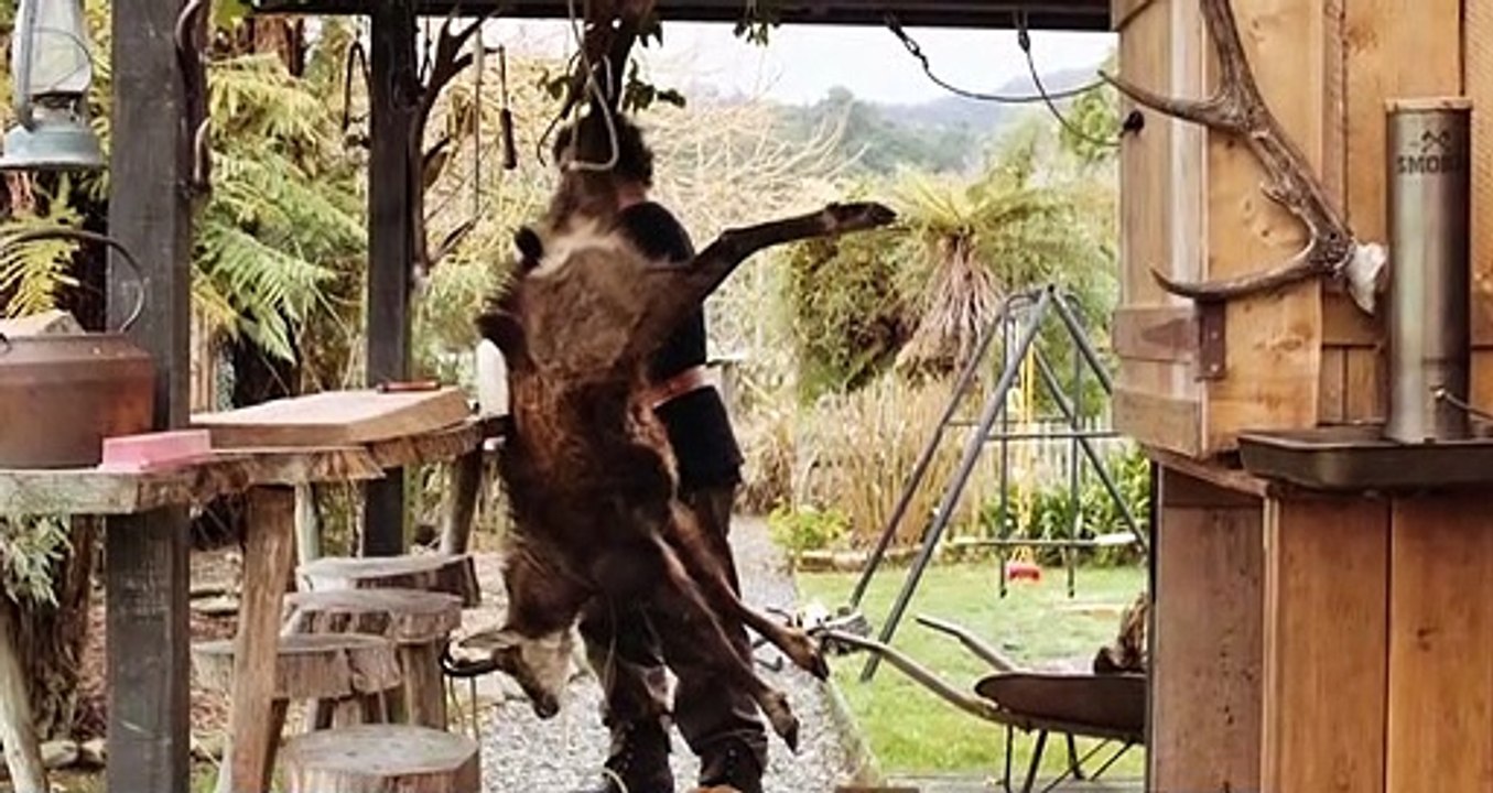 Meat movie 2017 Official Trailer video Dailymotion