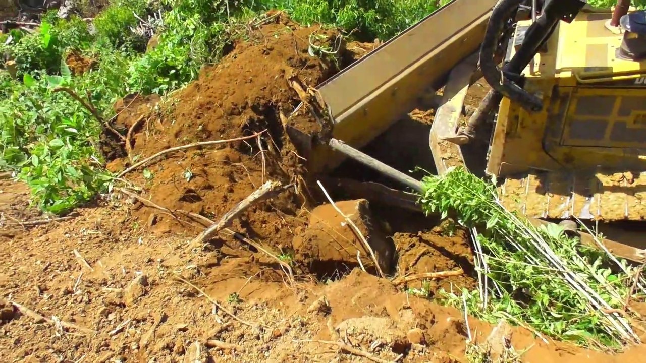 Soil Digger Removes Roots Of Large Trees to Plant Oil Palm Bulldozer