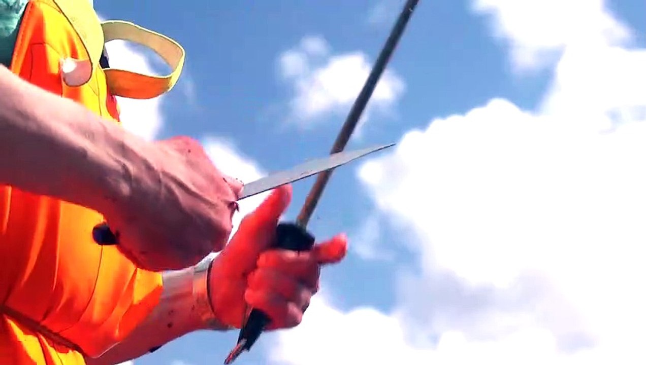 Archipelago Bandeannonce (FR) Vidéo Dailymotion