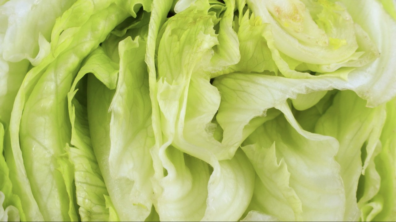 Is Iceberg Lettuce Good for You? Here's What a Dietitian Has to Say video Dailymotion