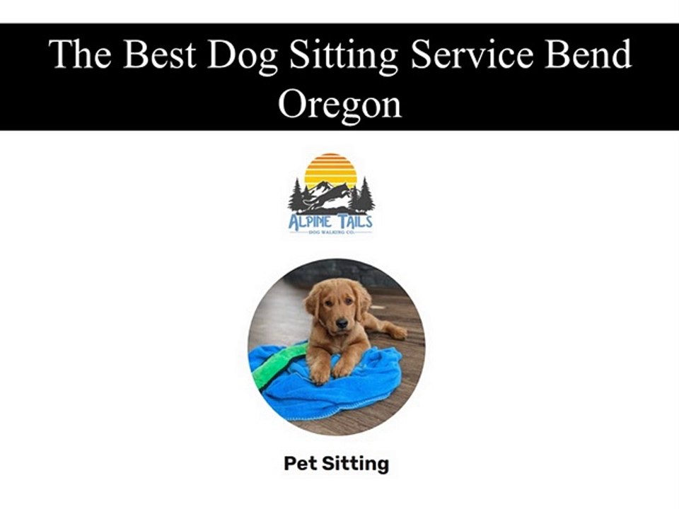 The Best Dog Sitting Service Bend Oregon video Dailymotion