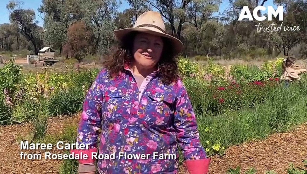 Rosedale Rd Flower Farm video Dailymotion